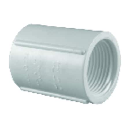 Charlotte Pipe And Foundry Charlotte Pipe Schedule 40 3/4 in. FPT X 3/4 in. D FPT PVC Coupling 1 pk PVC 02102 0800
